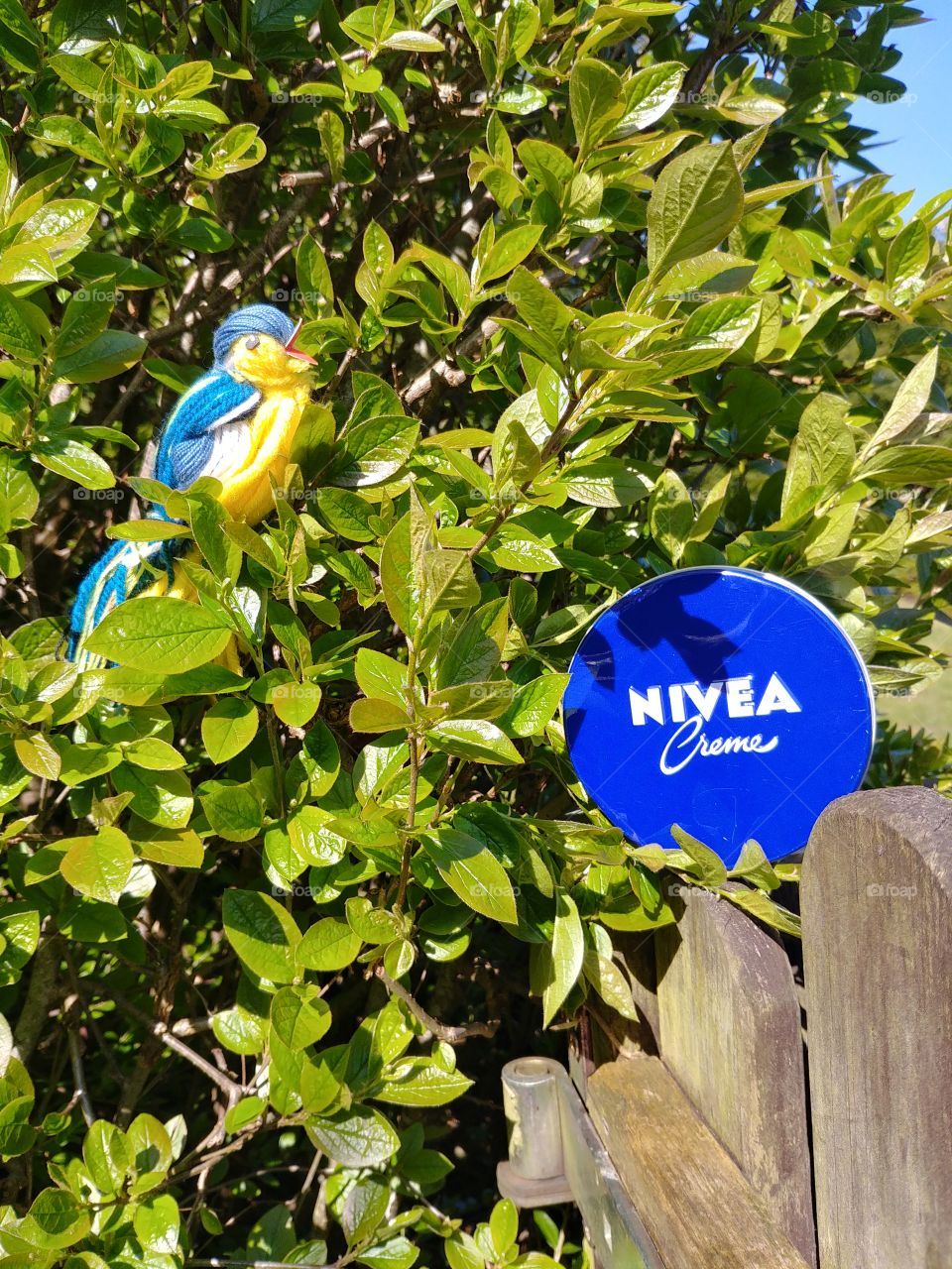 vogel birth nivea creme spring green blue