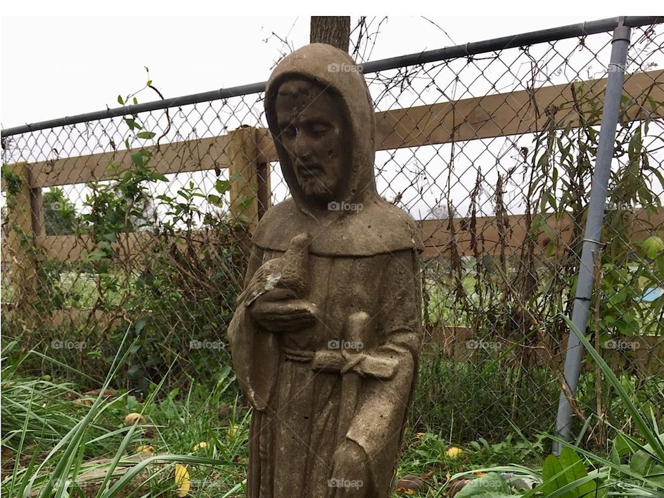 St. Francis