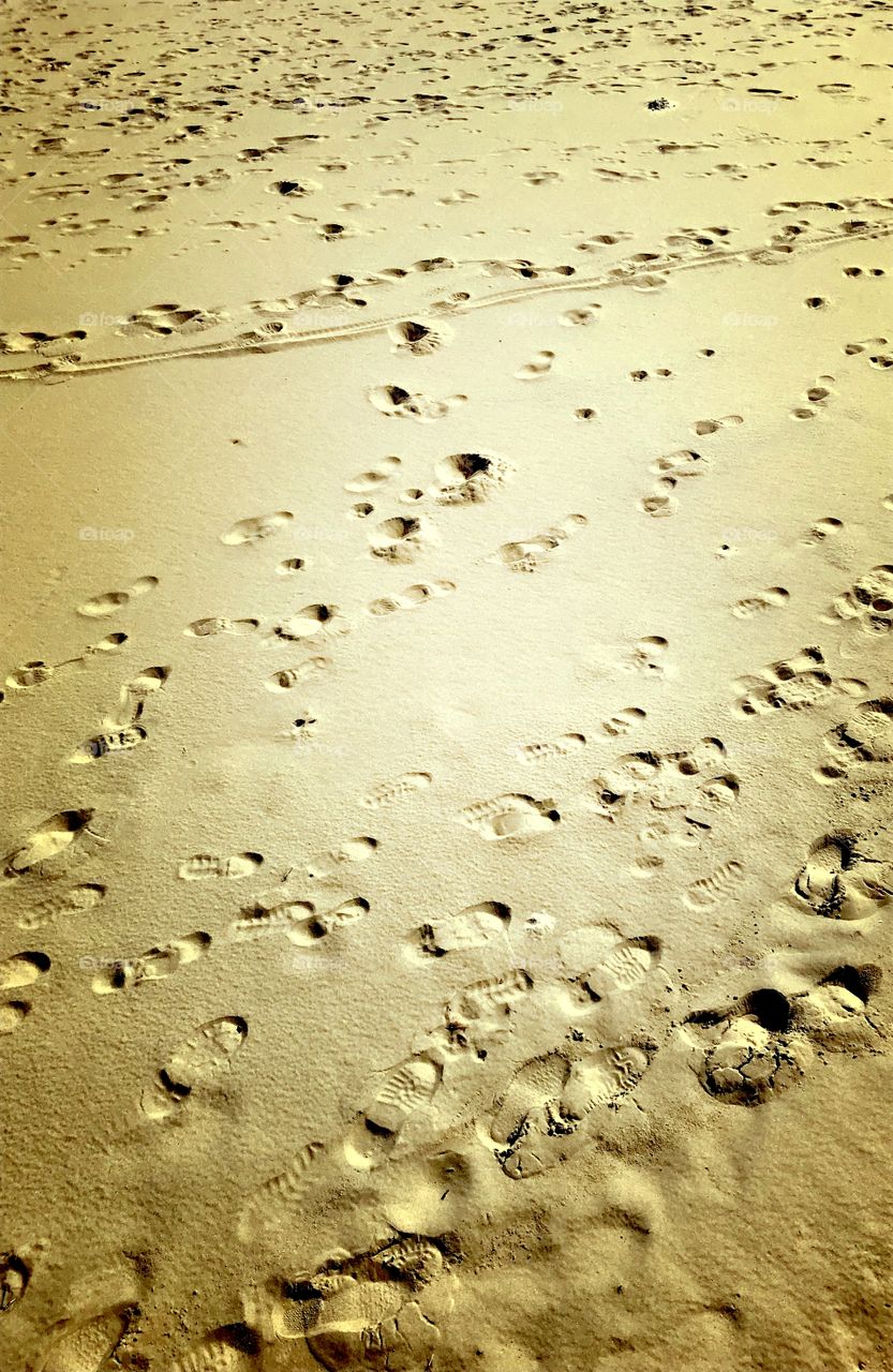 With the summer season upon us a golden sandy Virginia beach is littered with footprints from beach goers.