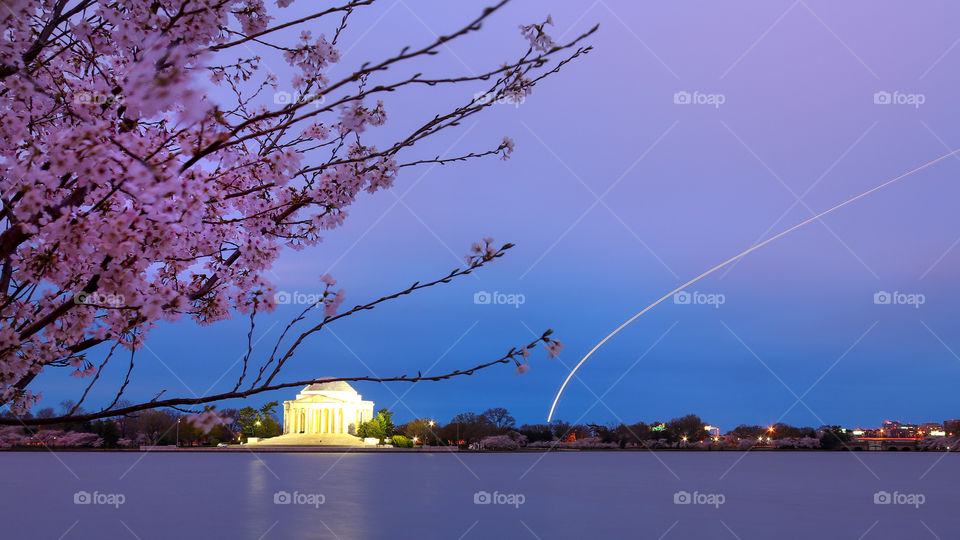 Monuments, Cherry Blossoms and Airplanes at Dawn