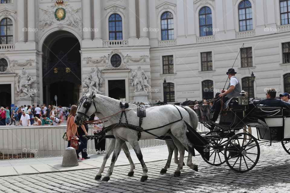 Visit Vienna 