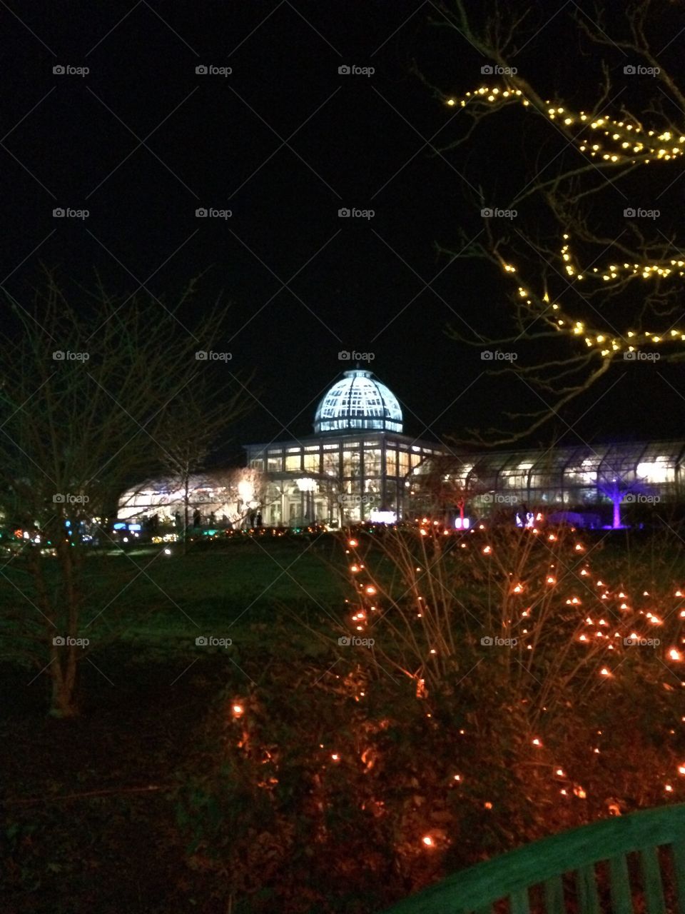 Greenhouse lights