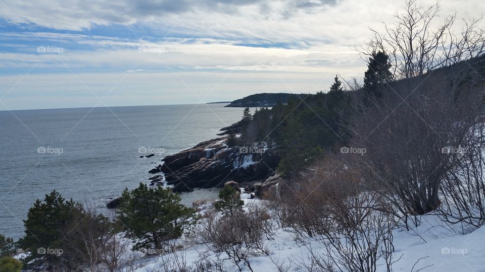The view from Ocean Drive in Acadia National Park