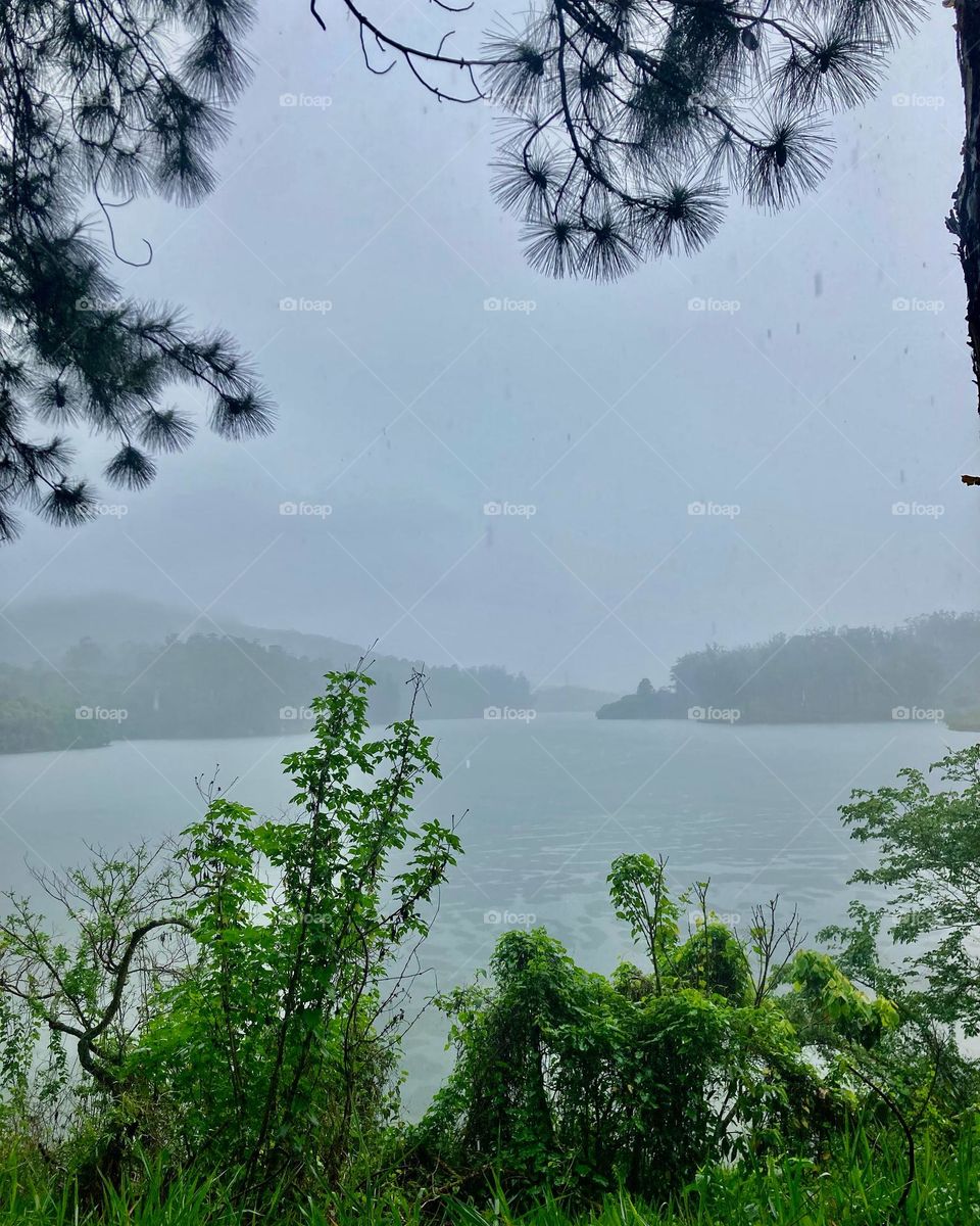 E chove na Represa de Mairiporã!

Fotografar os bonitos cenários é relaxante.