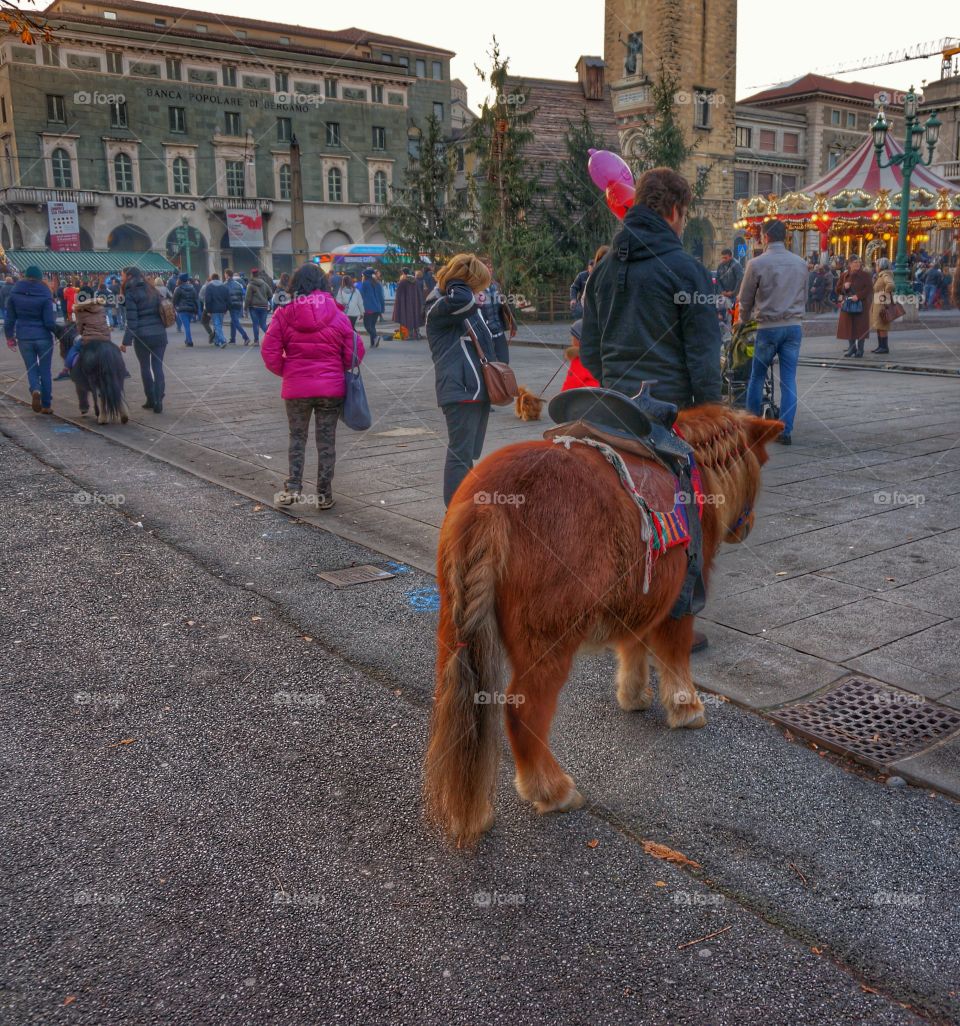 People Enjoying the Season. Winter Carnival