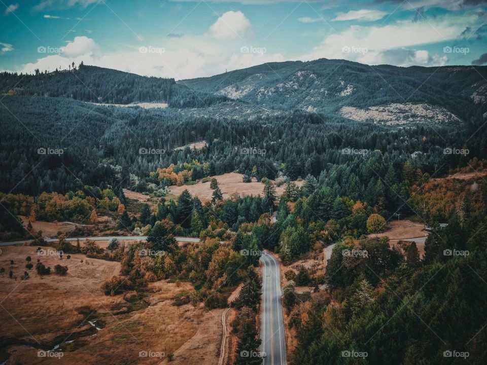 Paved Country Road Bends Through A Brown Vally