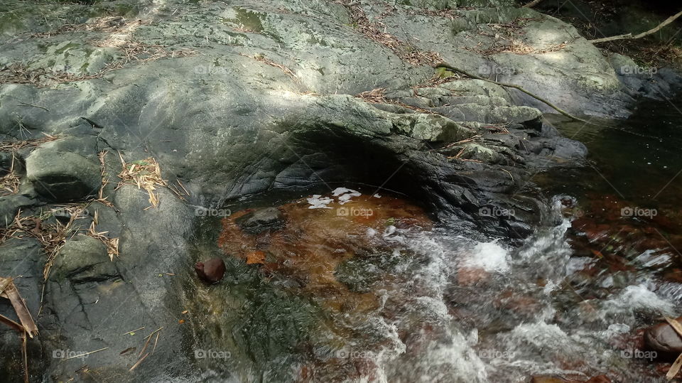 Wald, Bach, Wasser, Loch.