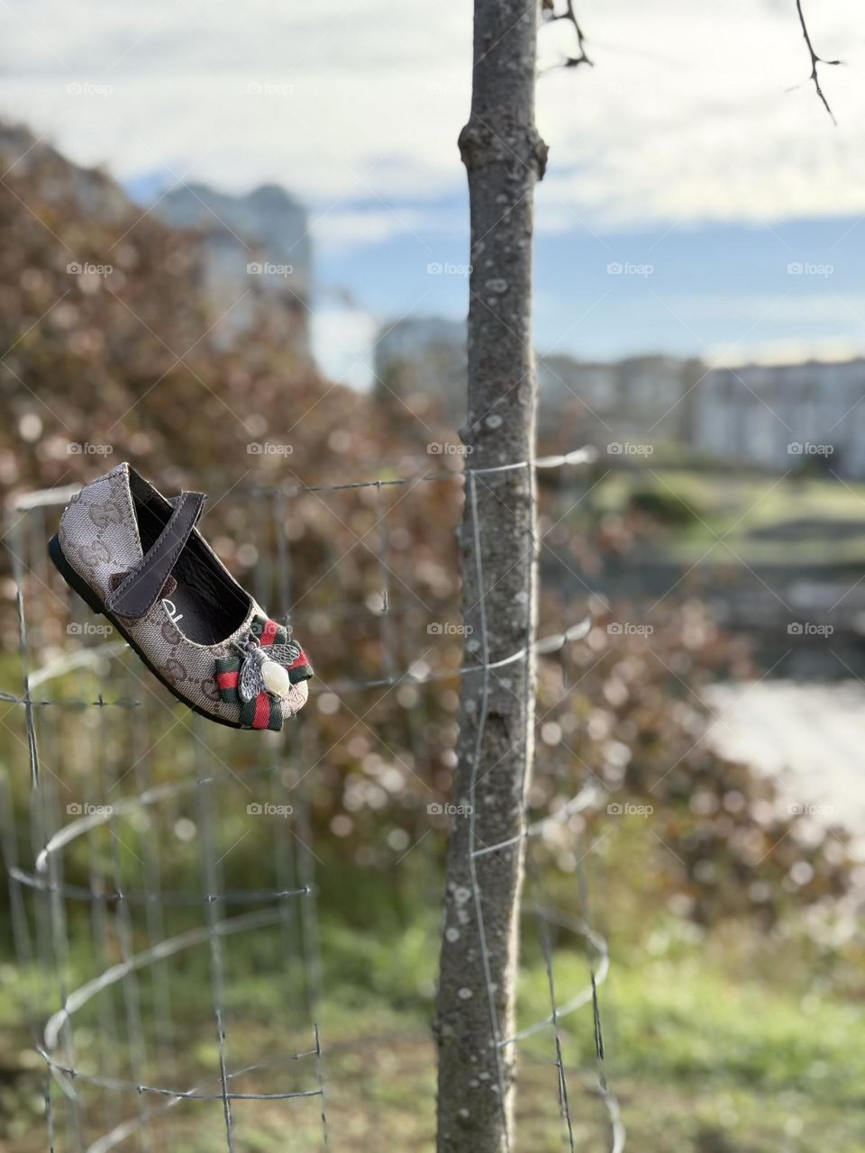 The lost shoe