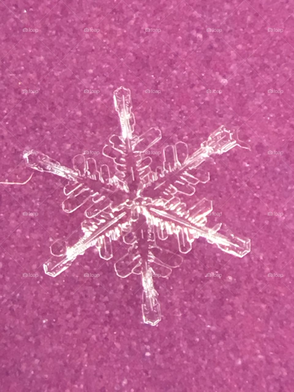 Snowflake - macro photography 