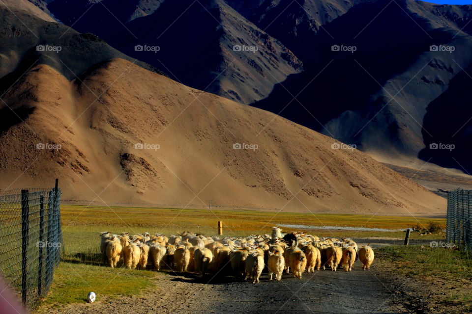 it's time to go home 🙂