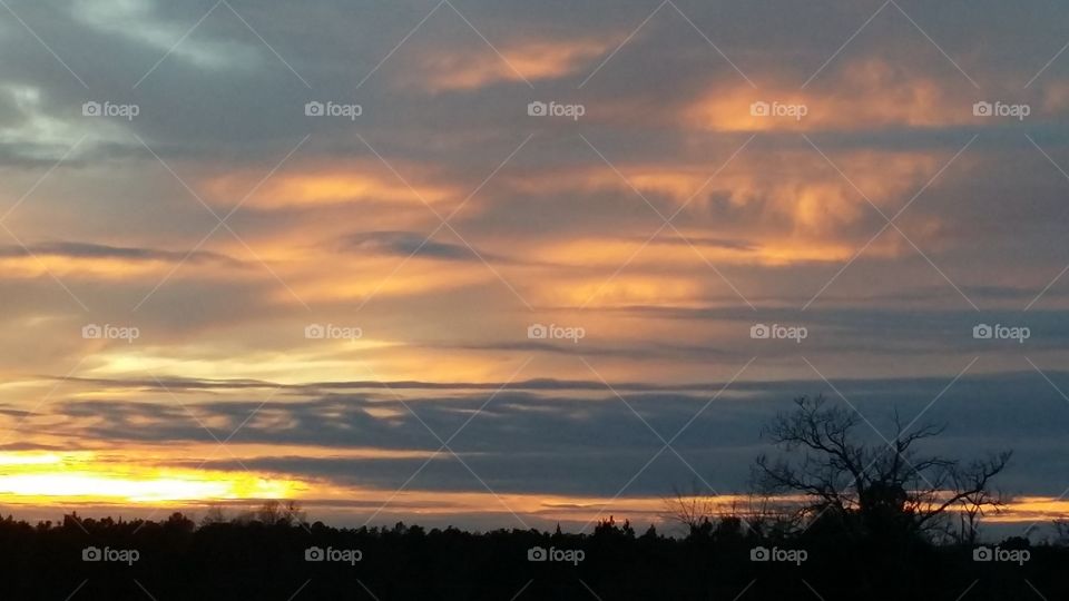 Orange is the New Sunset