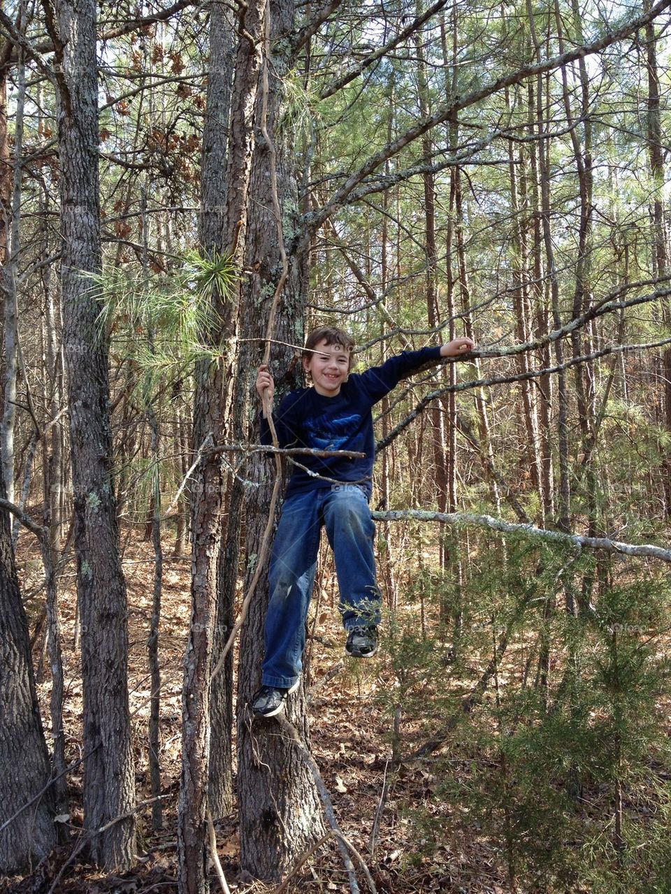 Tree climber