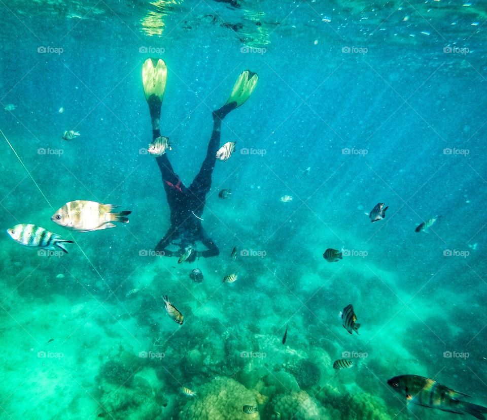 Dive in Thailand sea