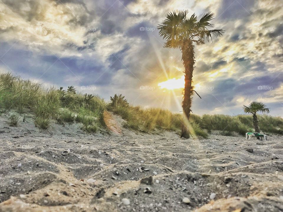 A beautiful and very hot day at the beach. A little cloudy but the sun came through. A beautiful beach in Denmark 