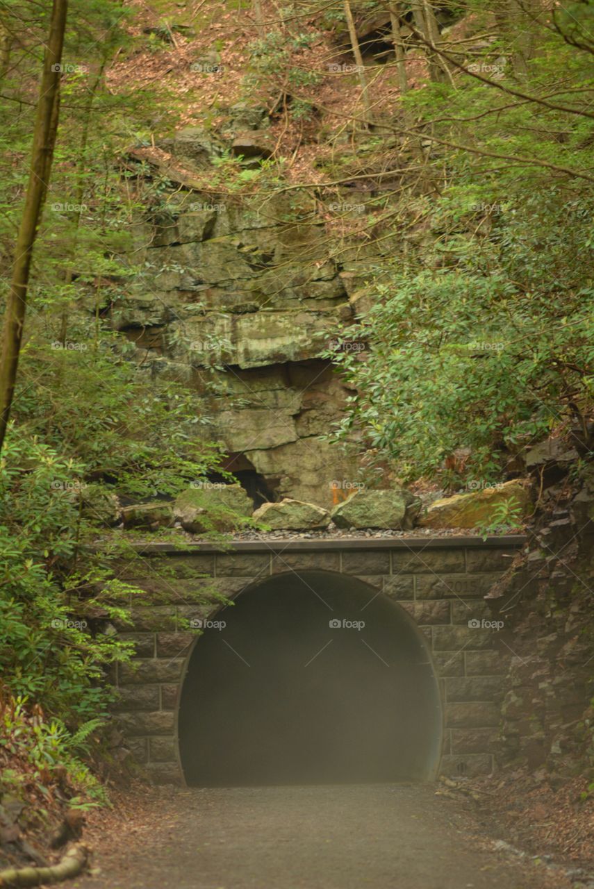 Misty Tunnel