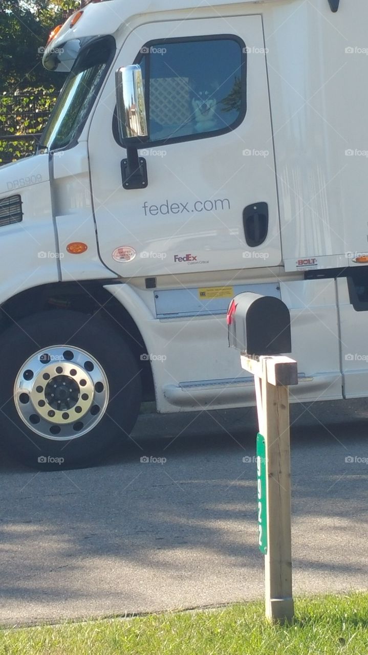 hey, we're at Grammy' house!