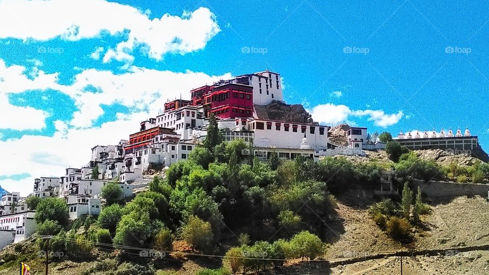 Hard to put it in neutral...don’t believe everything they tell ya...