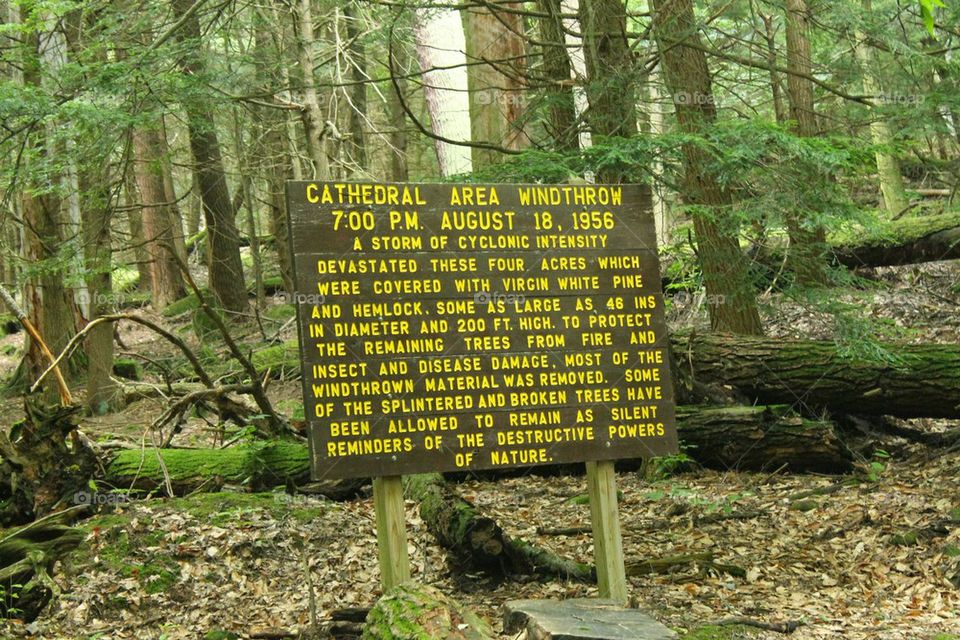 informational sign