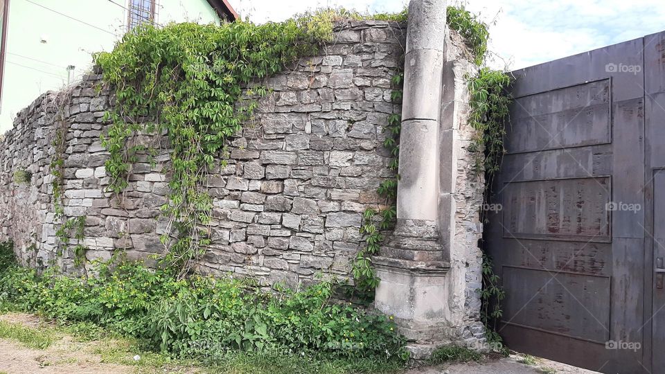 stone wall and greenery