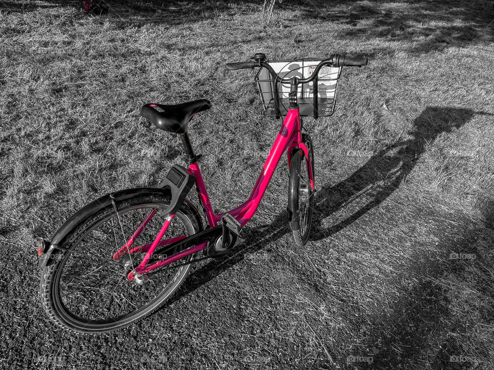 B&W with pink city bike.