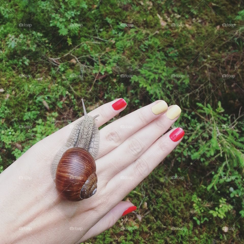 snail on the hand