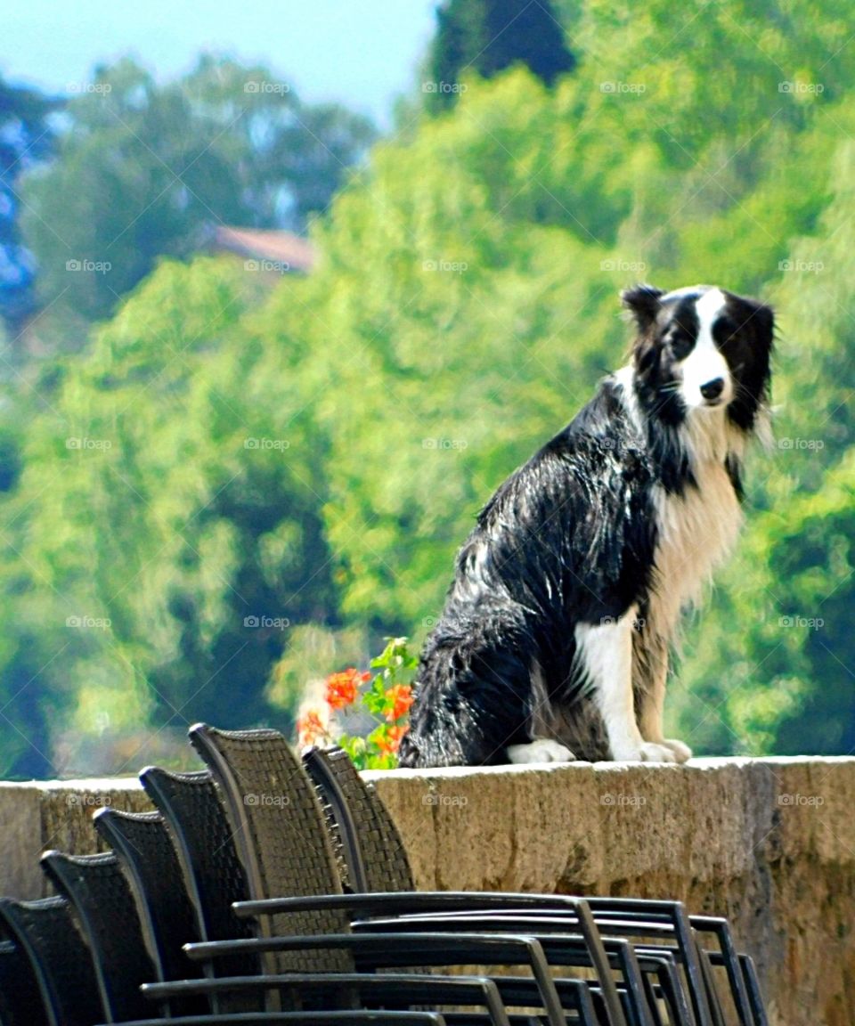 I'm watching you...man