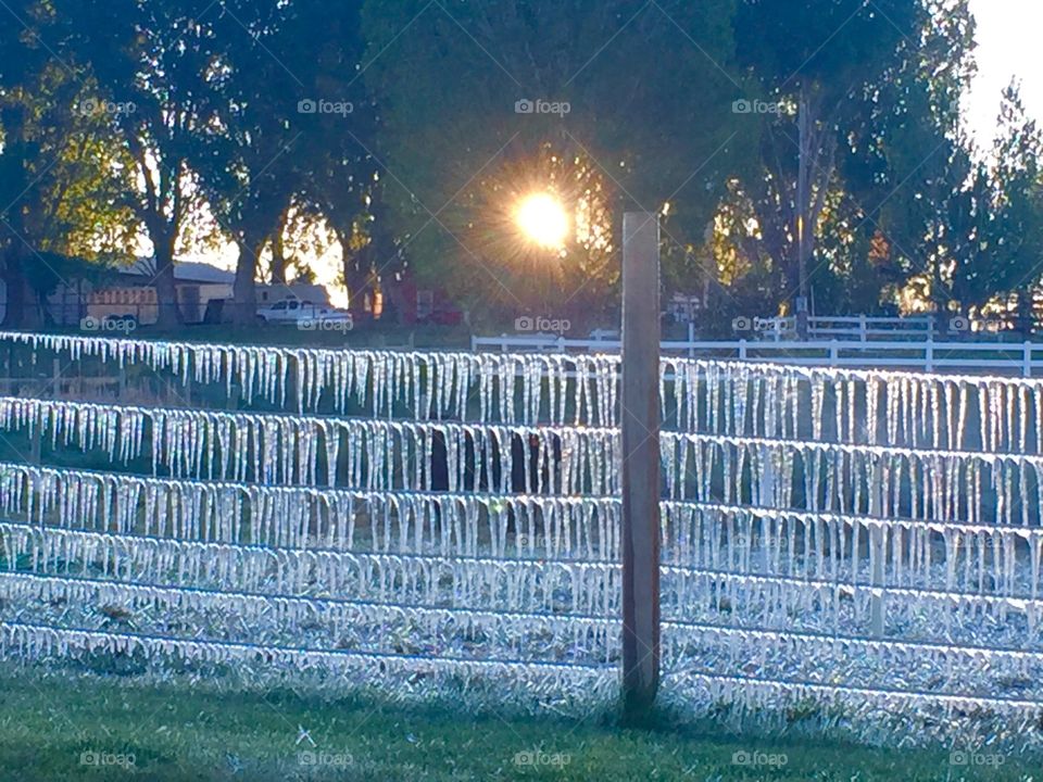 Frozen fence from irrigation water on a beautiful May 19th morning.  Happy Summer!