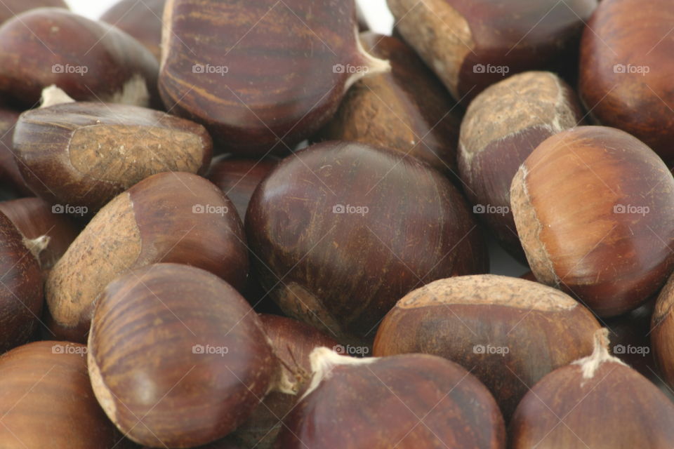 Chestnut closeup