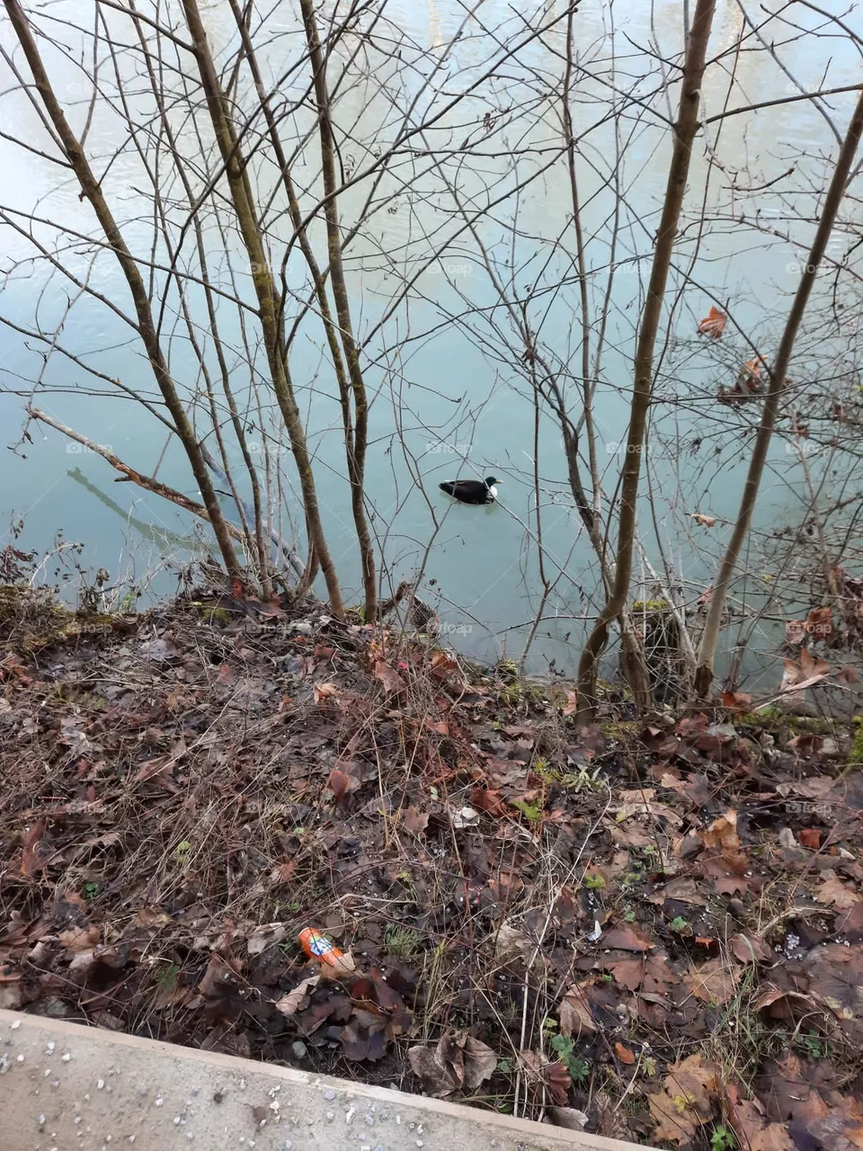 Natur 