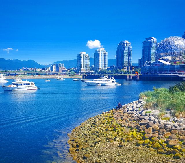 City, Water, Cityscape, Skyline, Downtown