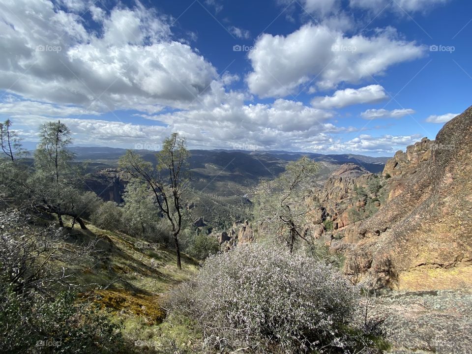 Pinnacles National Park