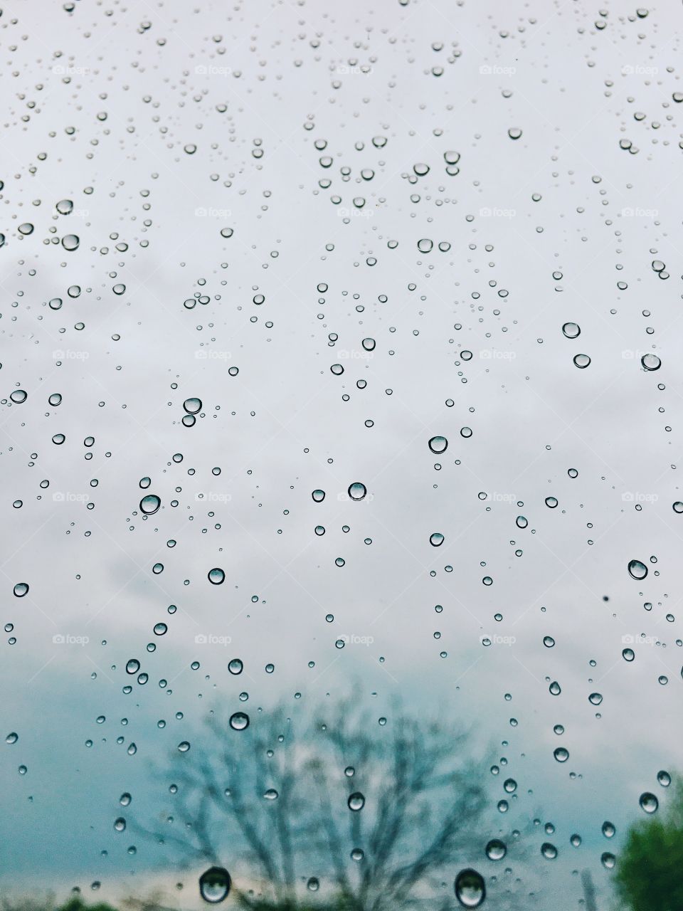 Raindrops on the window 