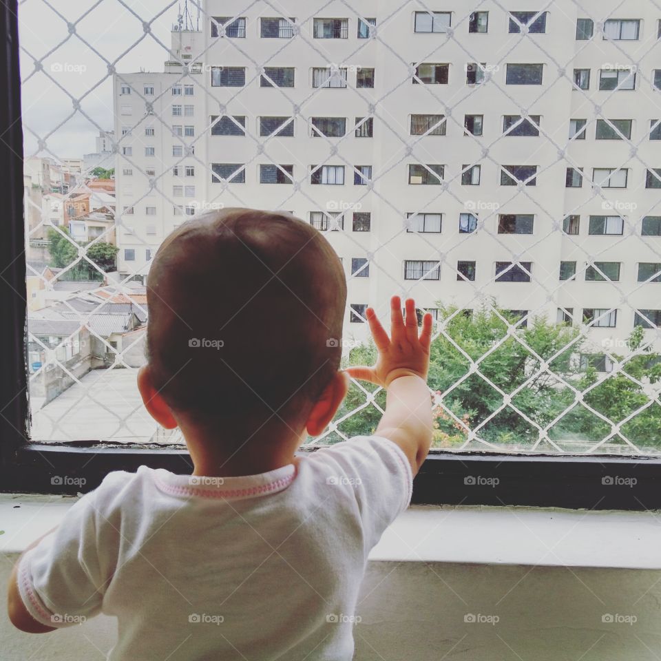 Baby  in the window