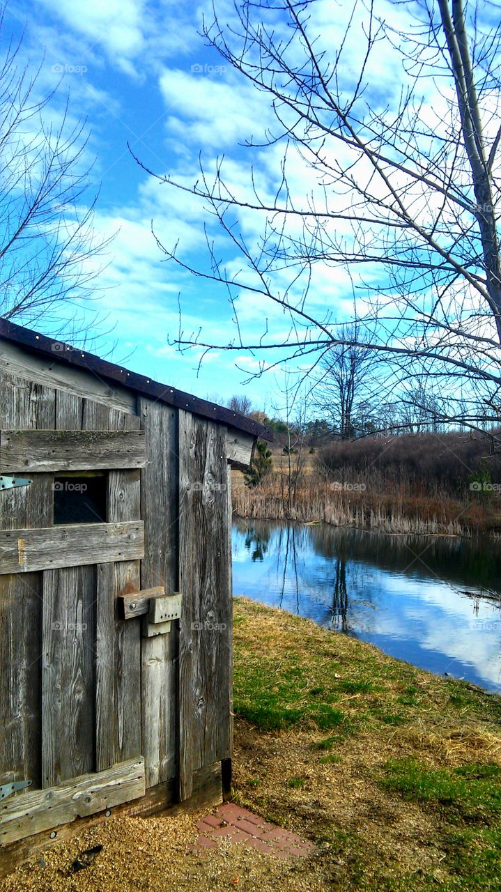 Chicken coop view