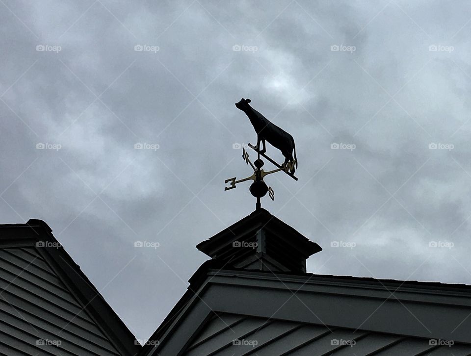Weather vane with cow, rain coming, storm clouds.