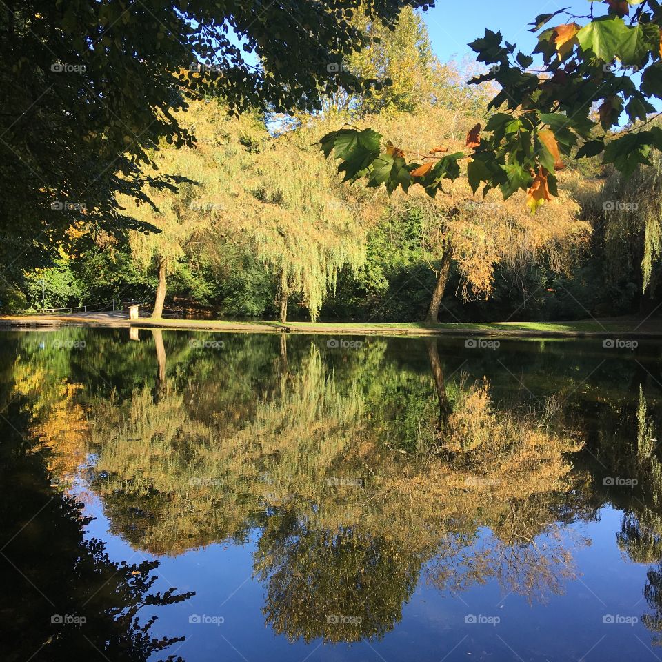 A stunning afternoon in Bicclescombe Park in Ilfracombe, North Devon. Autumn is here, sunshine is out and the clear reflections bring clarity to the day. 