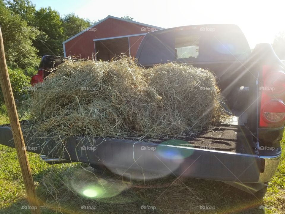 Dodge Ram hauling hay on the farm backlight by the sun