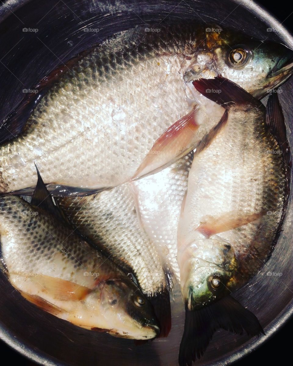had to walk 8km from my village to the river to fish but at this month it's hard to catch fishes so if i fail to catch i walk 8km back home empty handed apty stomach after 8hrs trying without eating but today i am happycoz i got some(Botswana-AFRICA)