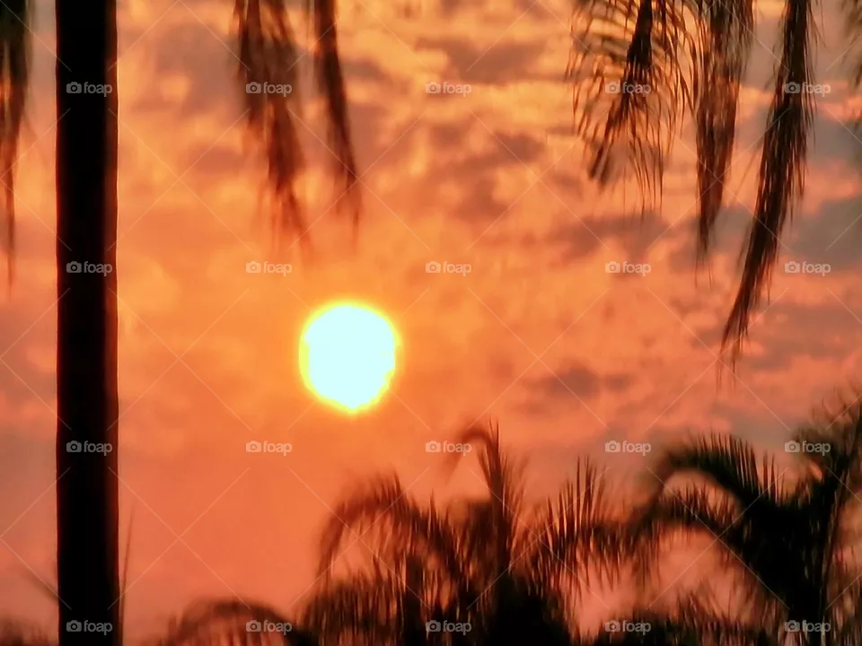 environment sunshine reflection peaceful day island air calm coast abstract tropical vacation golden panoramic tree season tranquil atmosphere tourism scenery seascape cloudy paradise natural panorama weather heaven clouds cloudscape bright scene col