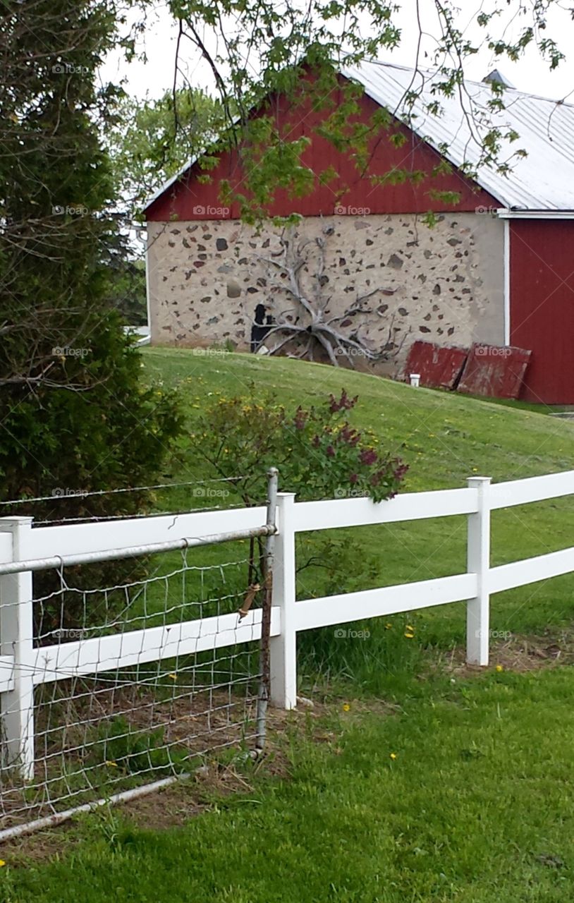 Barn Series. White Fence & Stone Wall