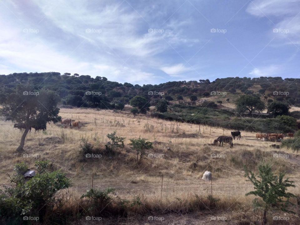 Editors' Choice - Photo of the Week