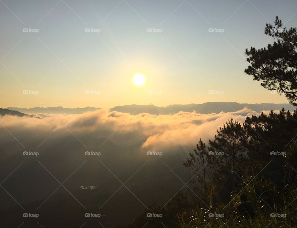 Scenic view of clouds and trees