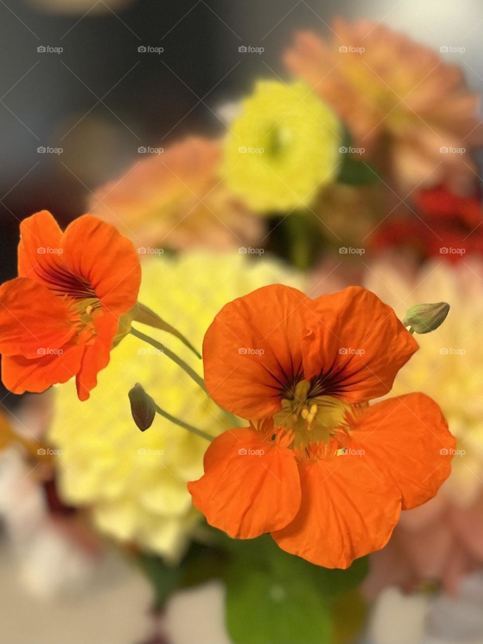 Orange and yellow early fall bouquet
