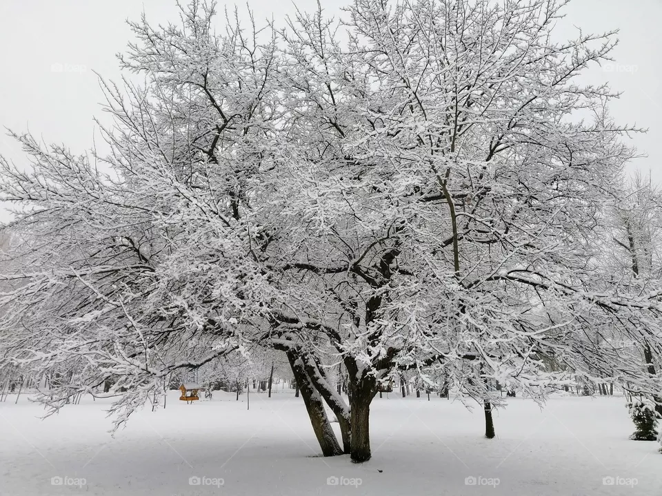 Snow park