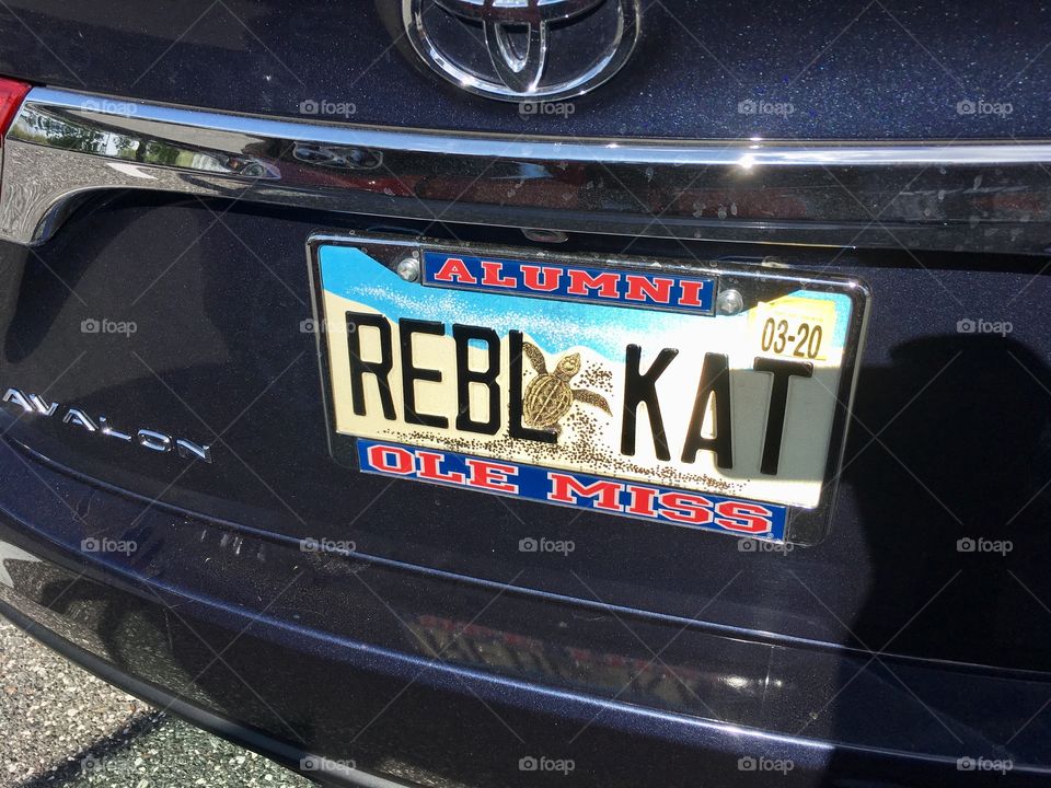 Unique Florida license plate collection REBL KAT