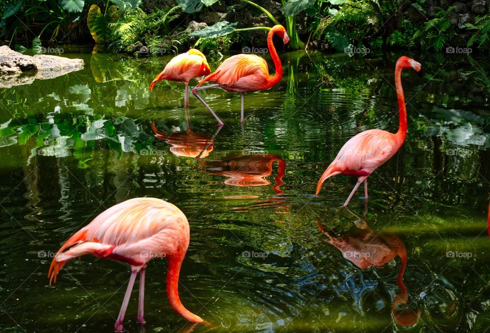 Don't worry, I'll find it...