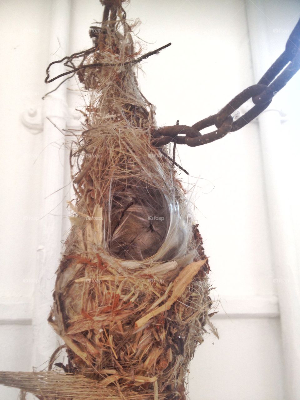 Bird's nest. Bird's nest hanging from a chain pulley