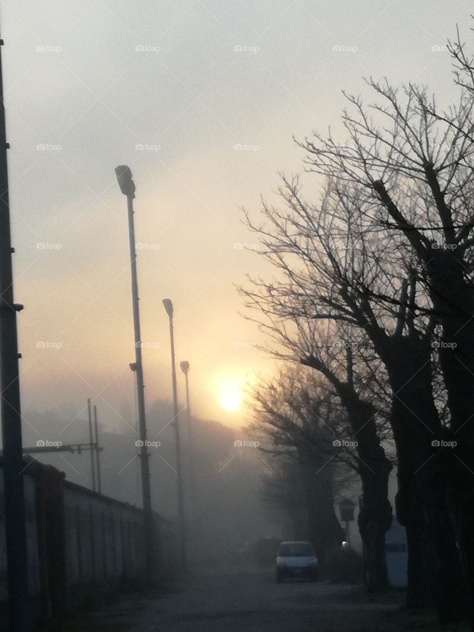 Morning...Wonderful light