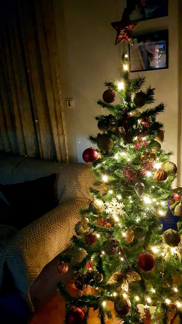 Happy Christmas to everyone and a happy new year!