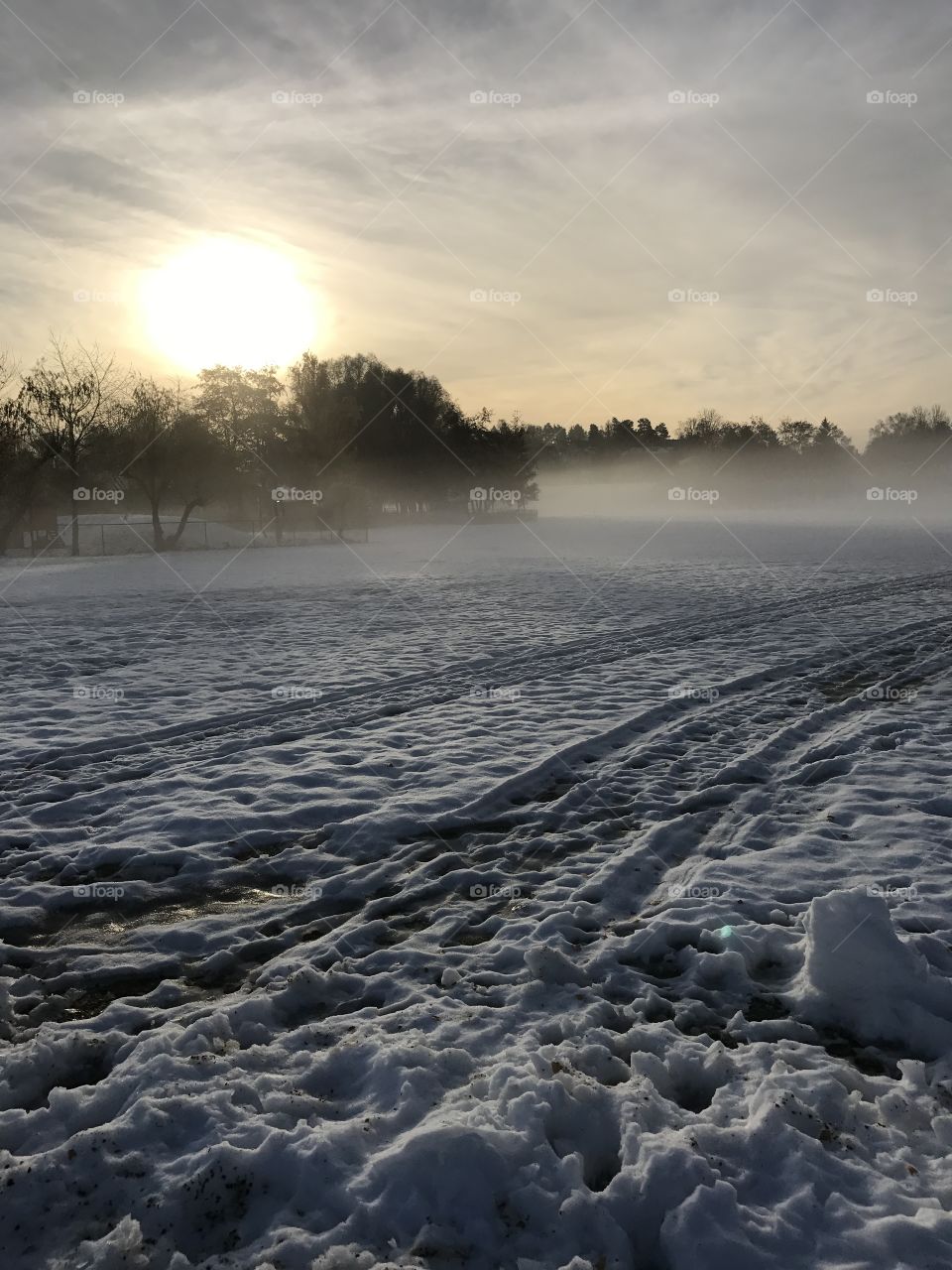 Swedish fog snow winter 